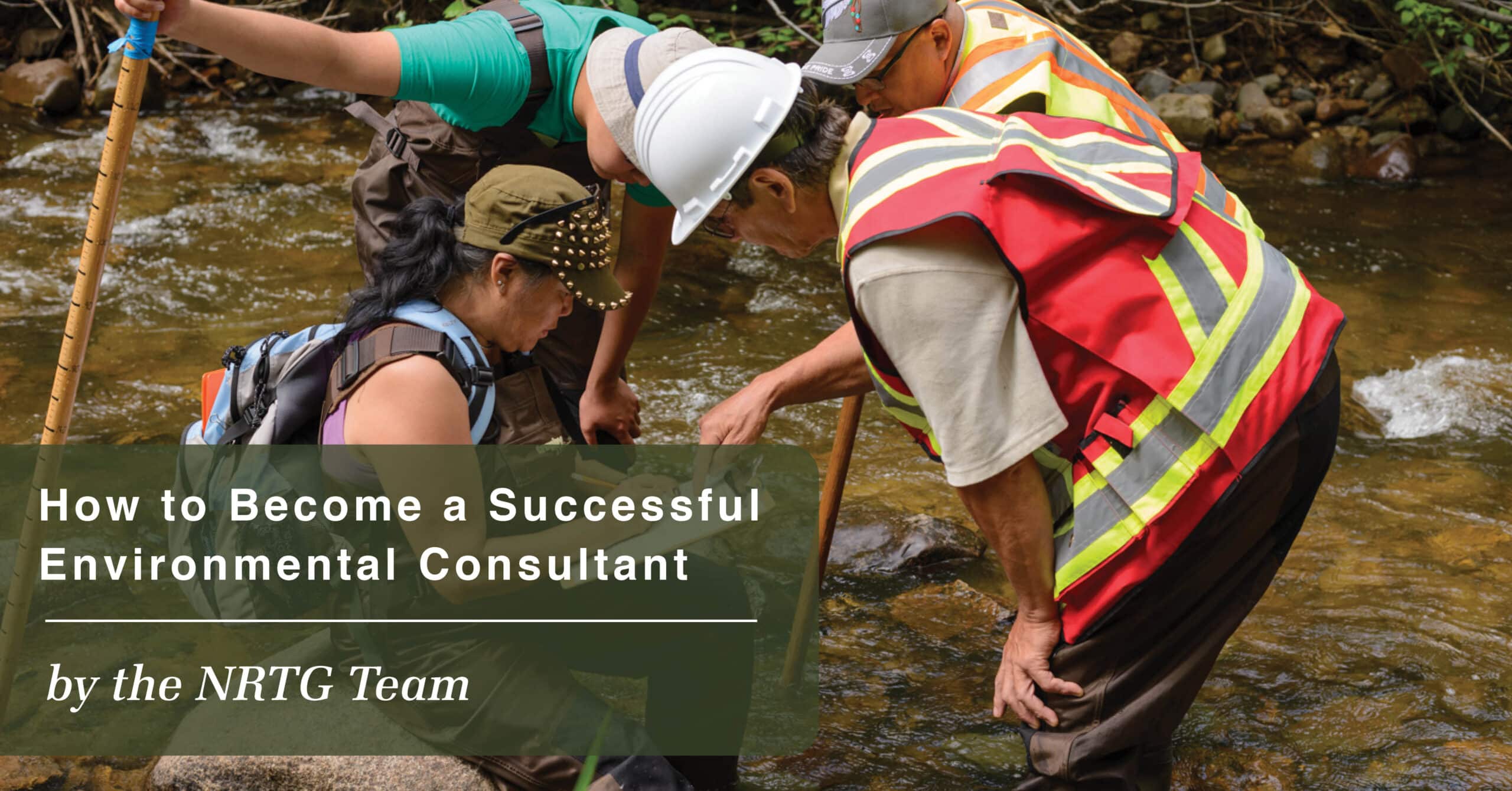 Environmental Consulting